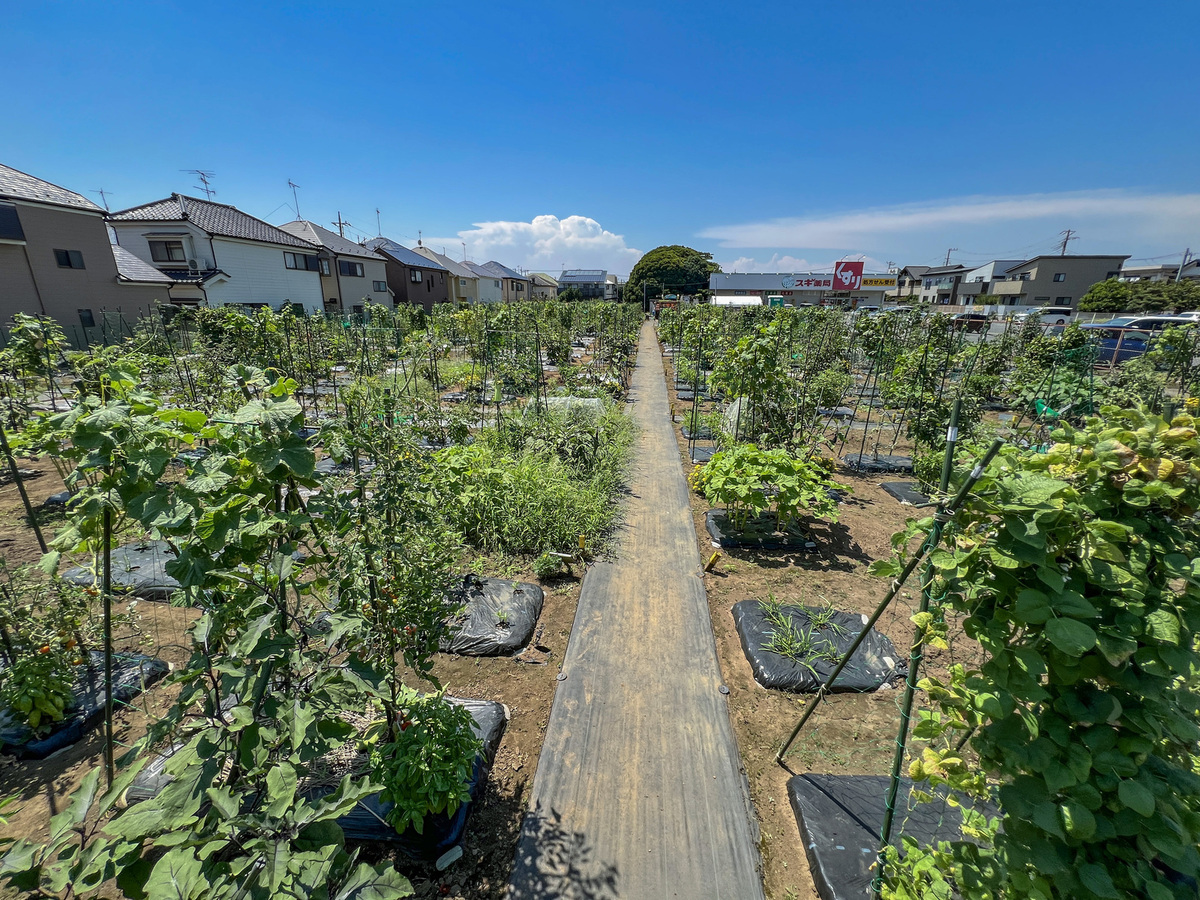 シェア畑 津田沼