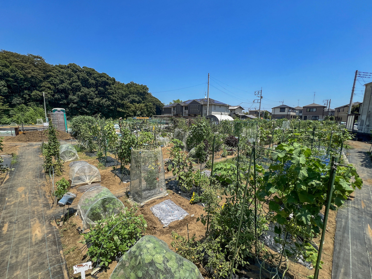 シェア畑 市川北方