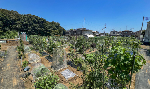 シェア畑 市川北方
