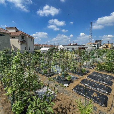 シェア畑 竹ノ塚