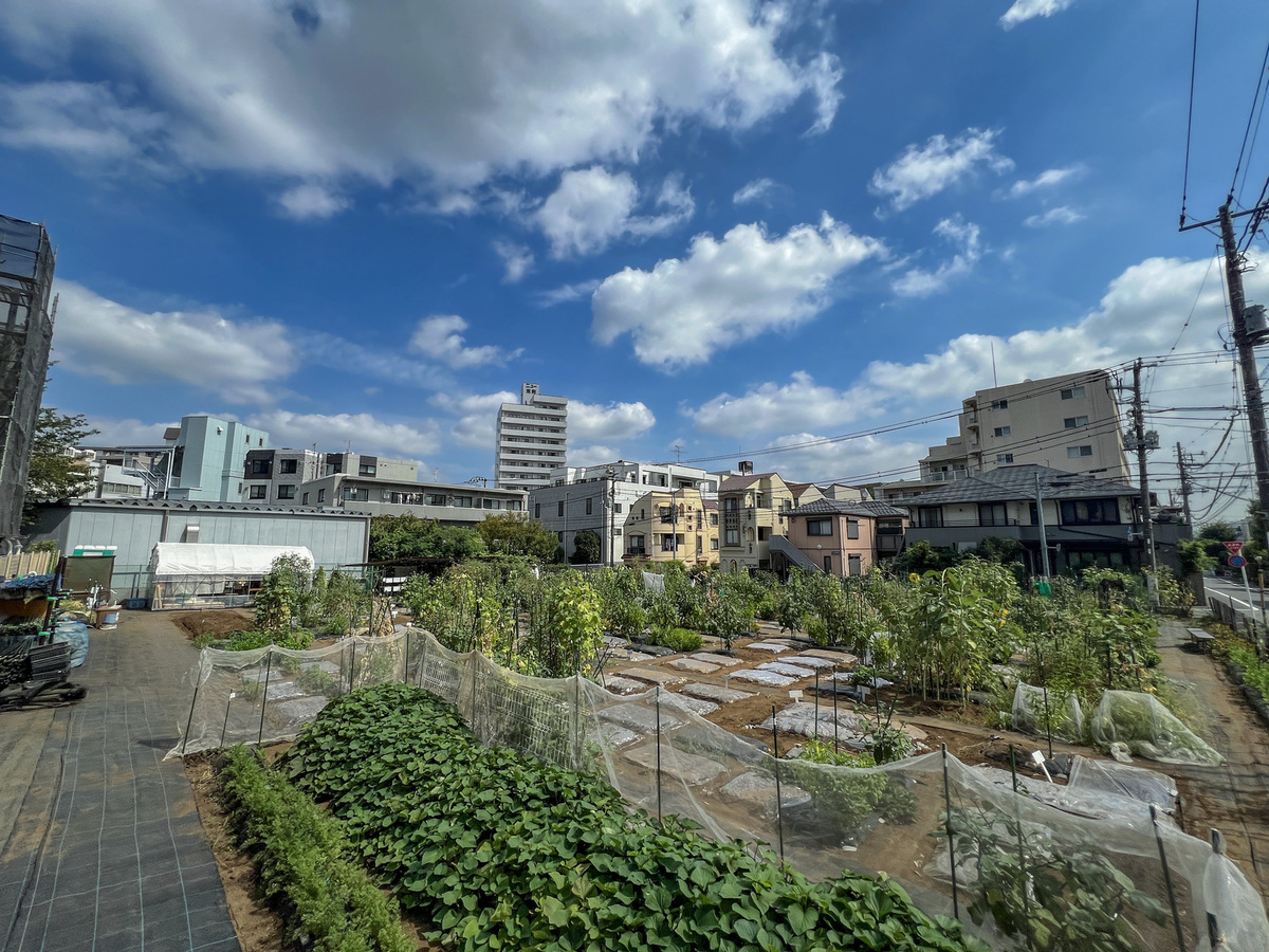 シェア畑 桜新町2丁目(世田谷区) | 体験農園なら貸し農園（市民農園