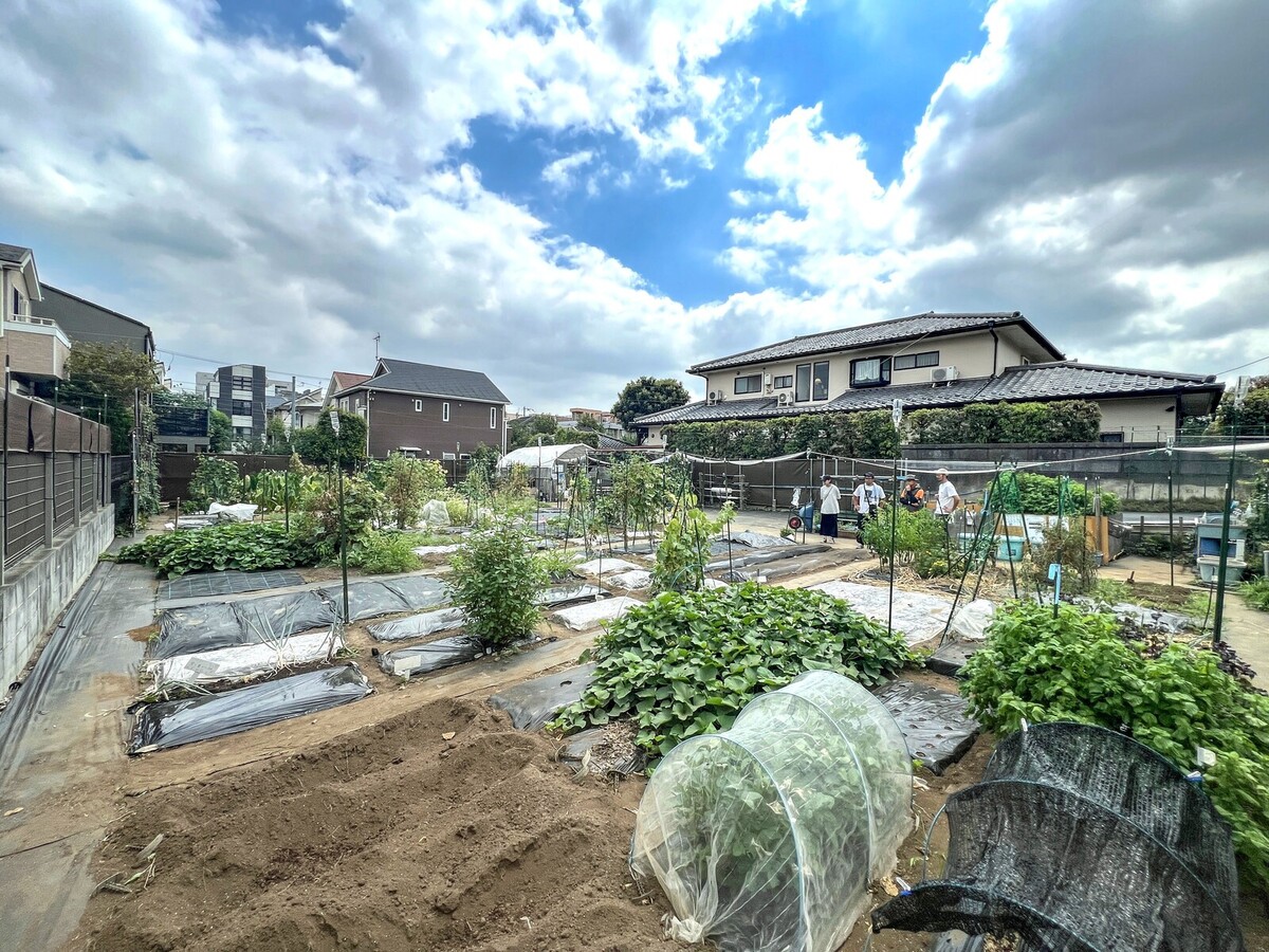 シェア畑 世田谷野毛