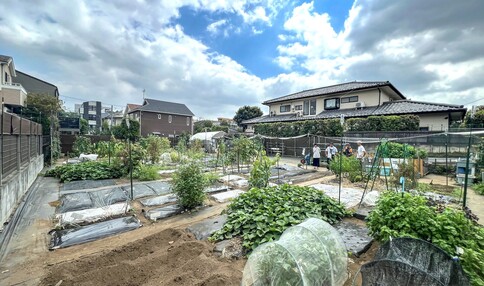 シェア畑 世田谷野毛