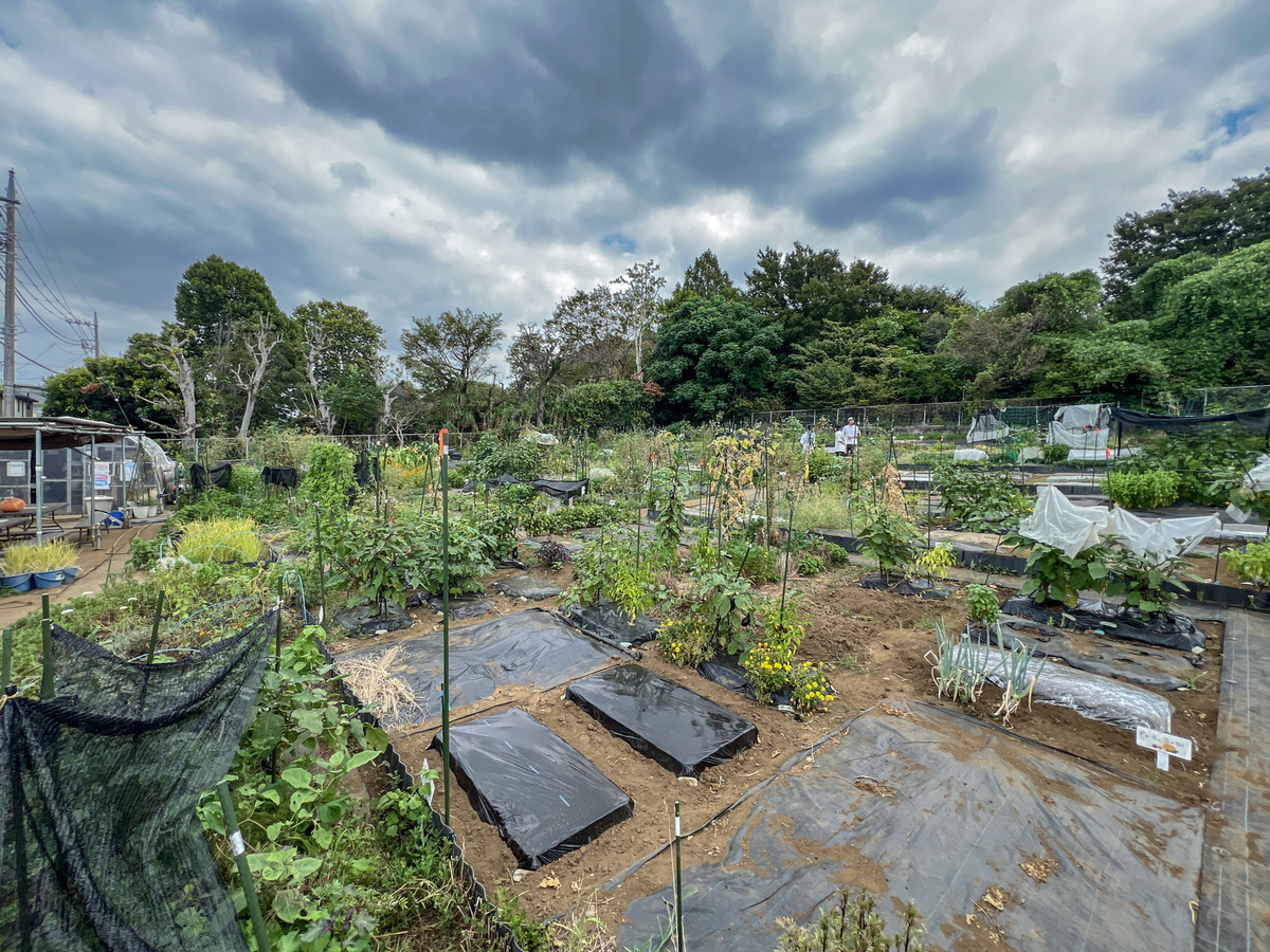 シェア畑 上野毛(世田谷区) | 体験農園なら貸し農園（市民農園）のシェア畑