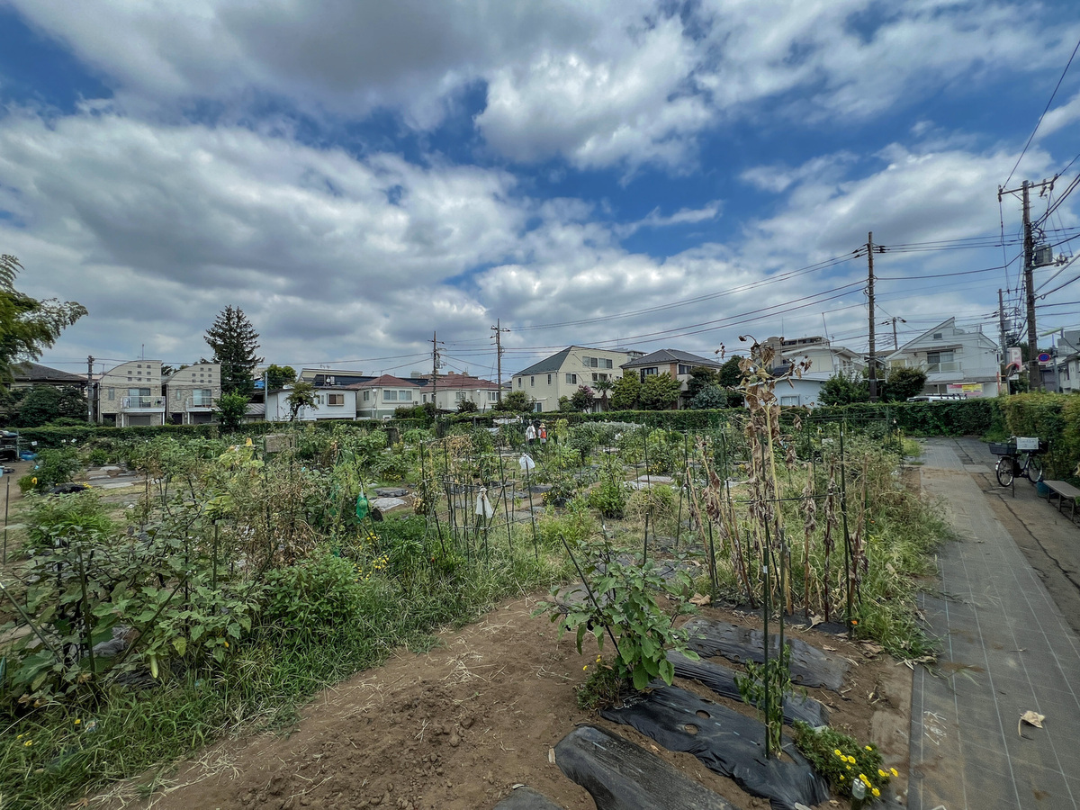 シェア畑 駒沢(世田谷区) | 体験農園なら貸し農園（市民農園）のシェア畑