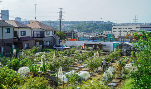 シェア畑 多摩落川