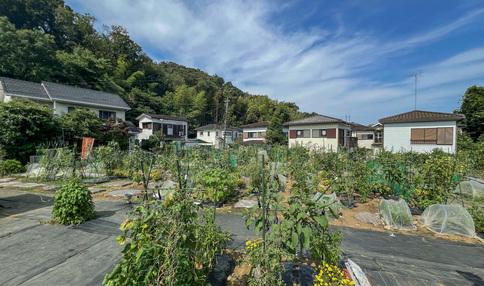 シェア畑 戸塚舞岡