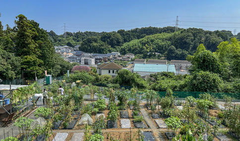 シェア畑 戸塚名瀬