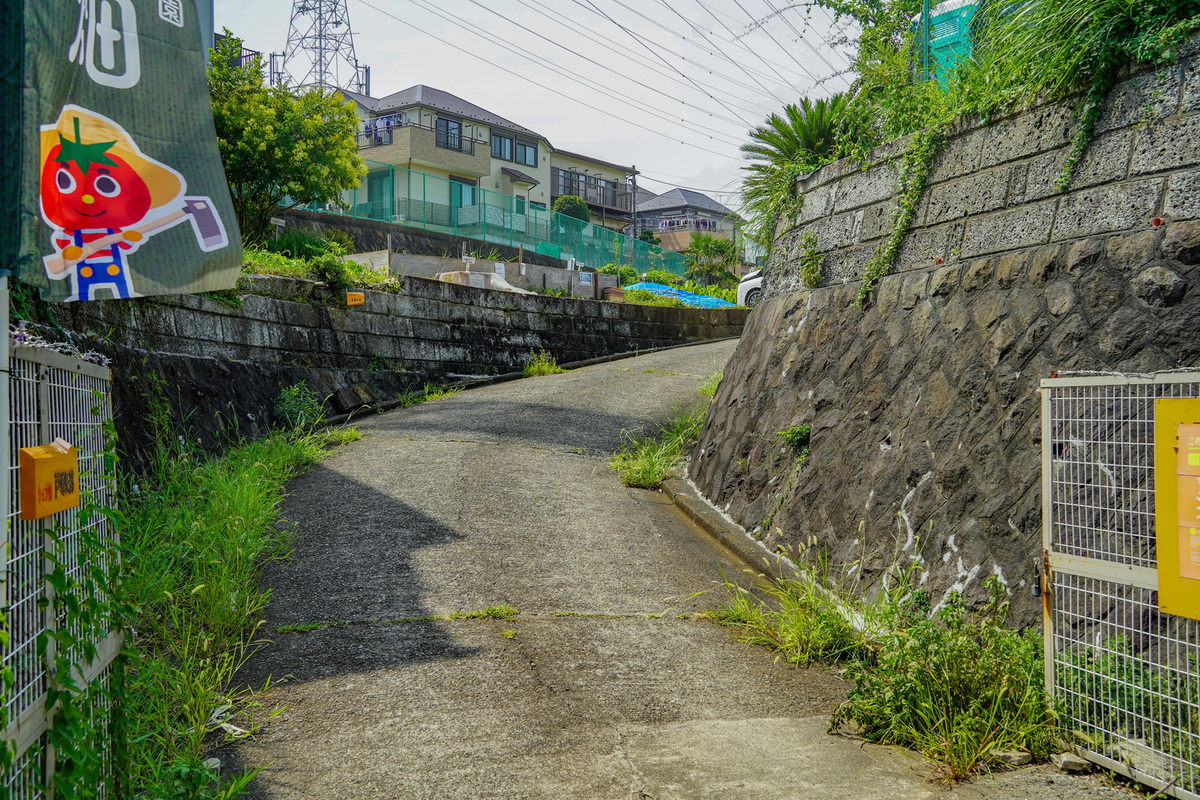 農園入口