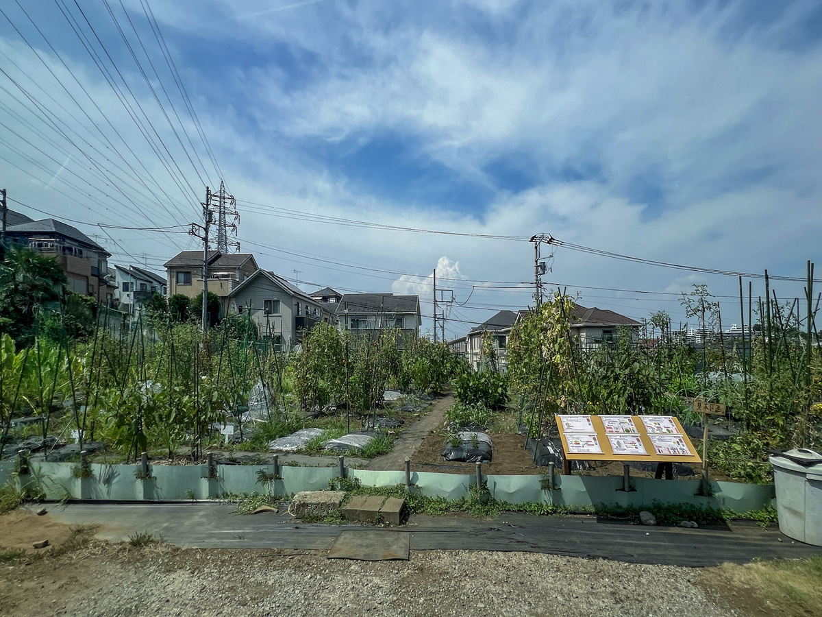 シェア畑 戸塚矢部