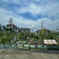 シェア畑 戸塚矢部