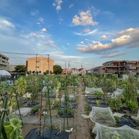 シェア畑 湘南辻堂
