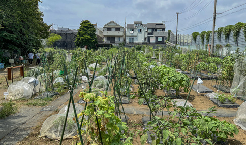 シェア畑 二俣川