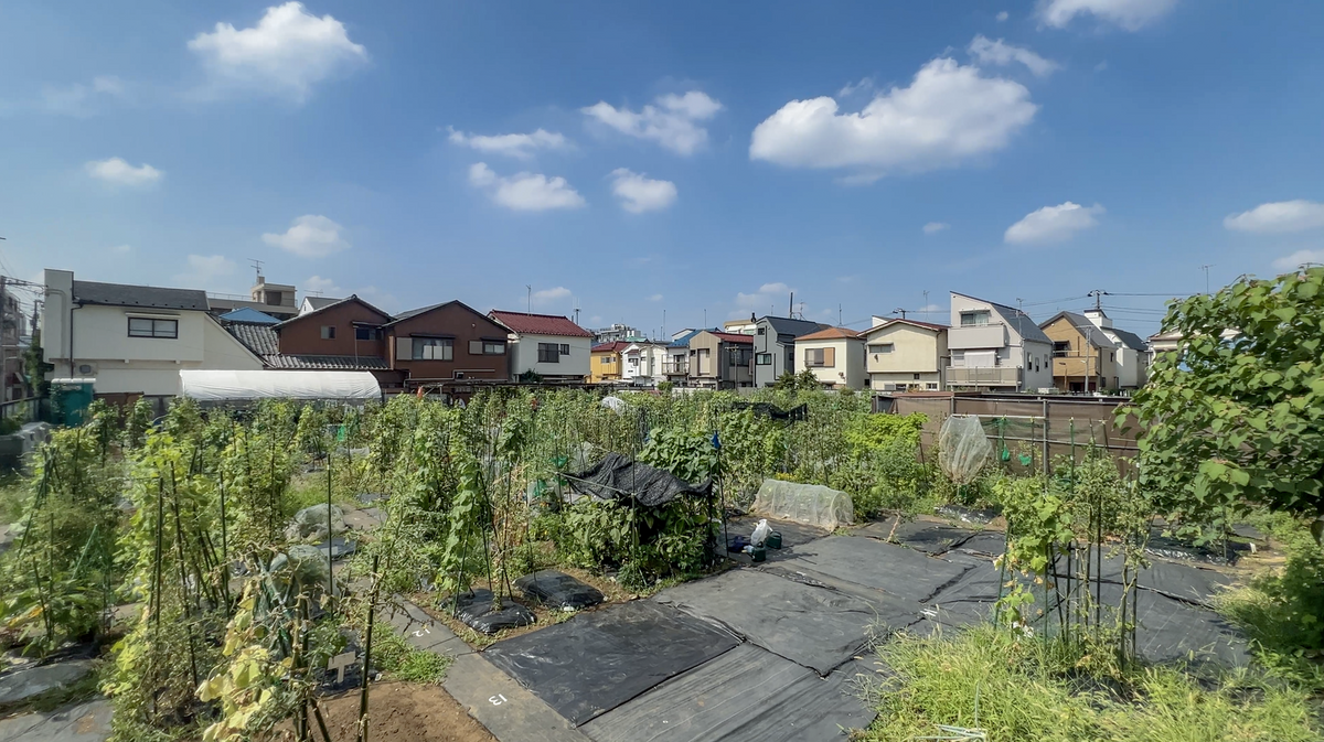 シェア畑 目黒本町
