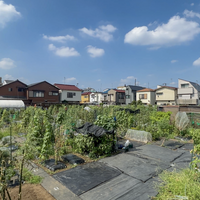シェア畑 目黒本町