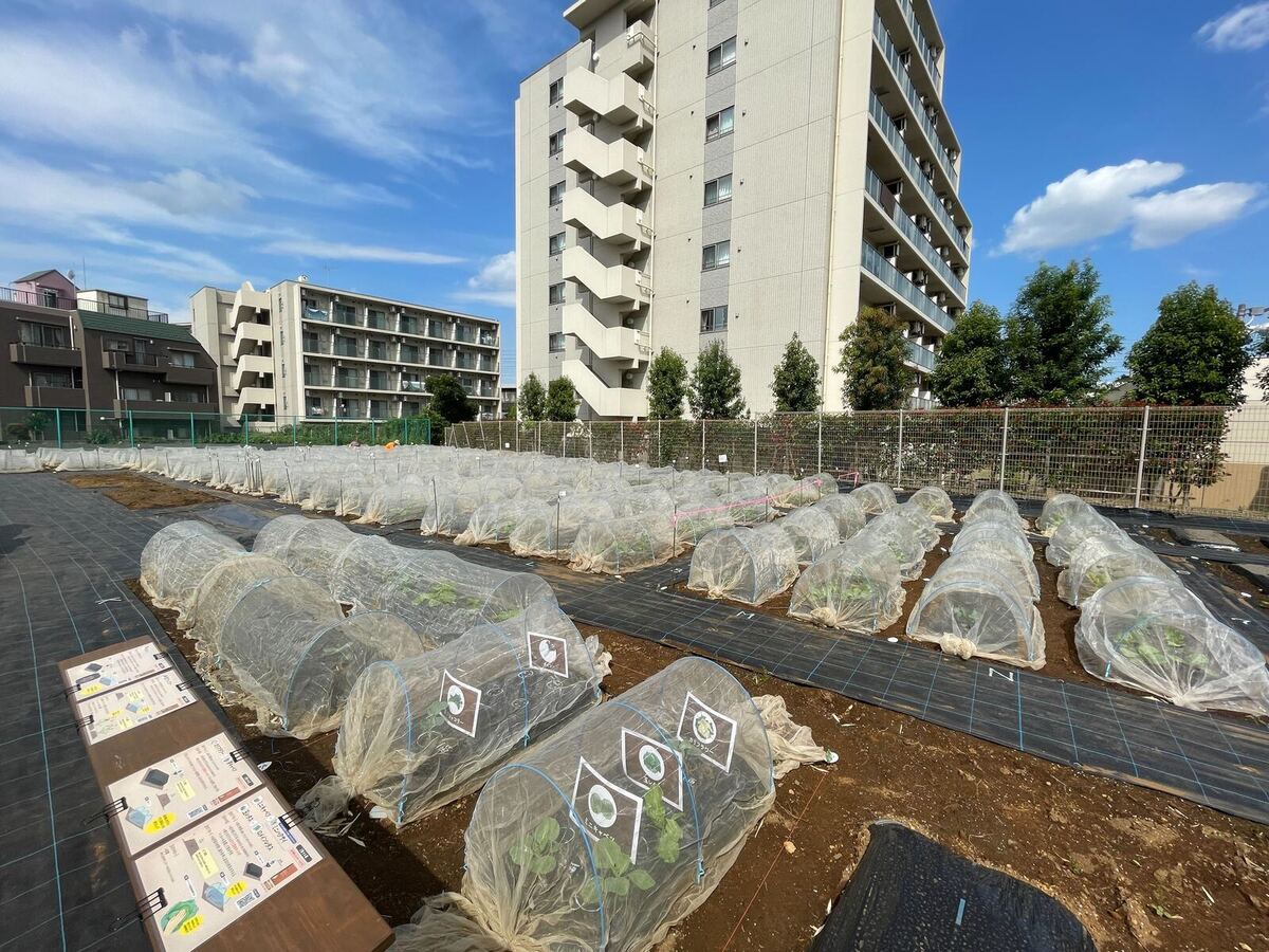 シェア畑 経堂