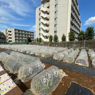 シェア畑 経堂