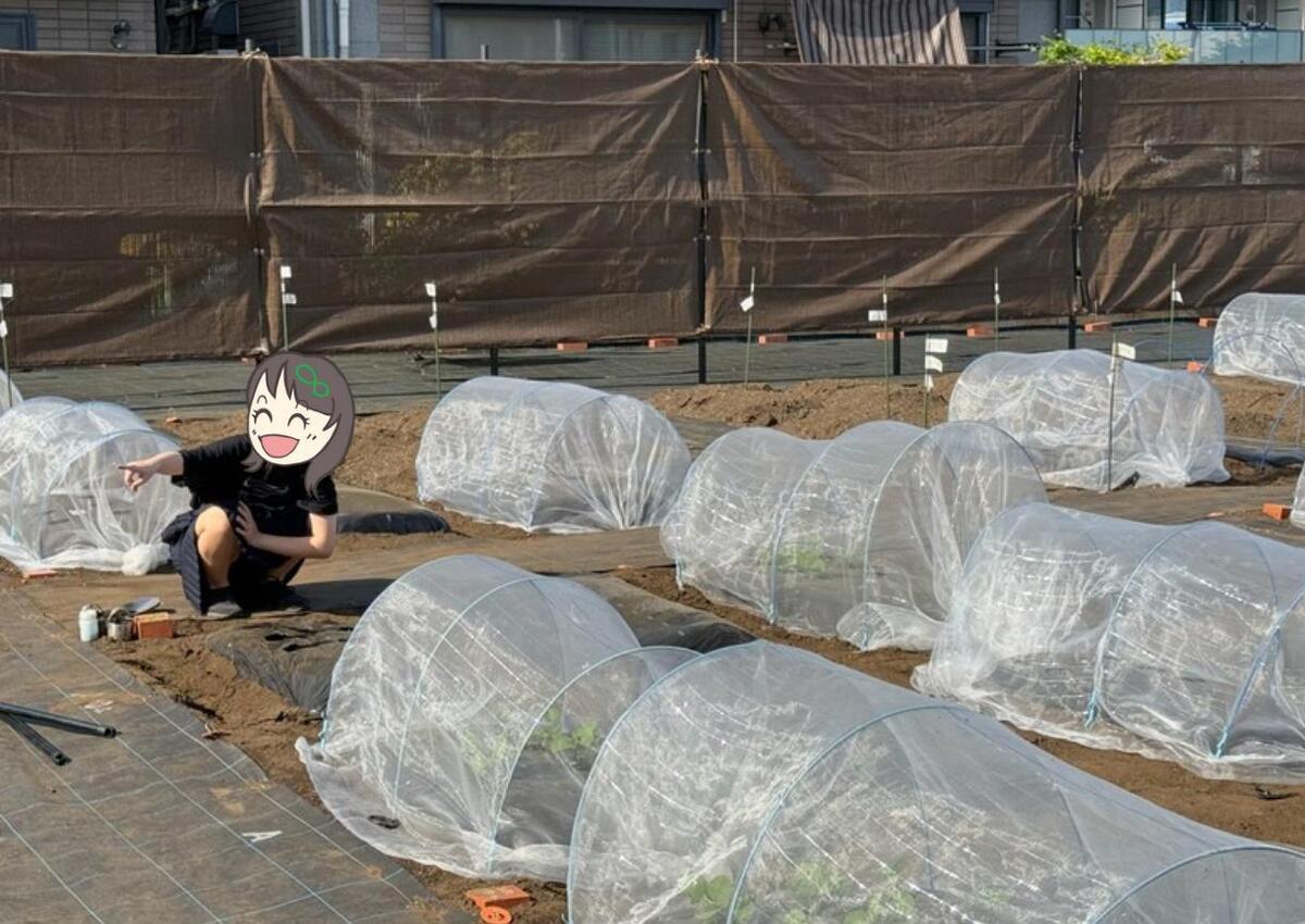モカ&リカの親子初めて農活日記：第2回 知らないことだらけの種まきと植え付け