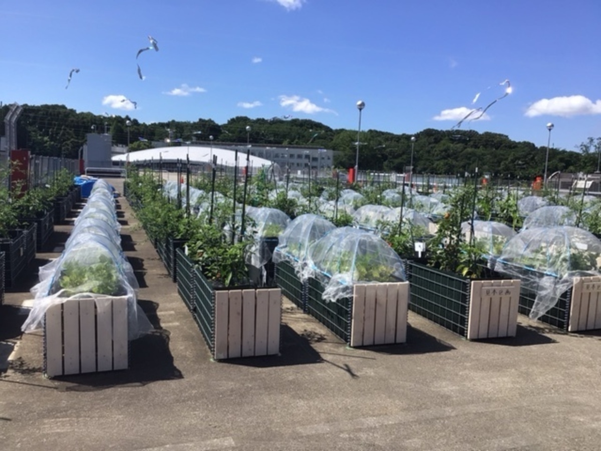 シェア畑garden 星が丘