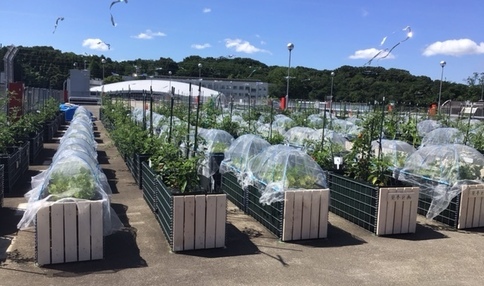 シェア畑garden 星が丘