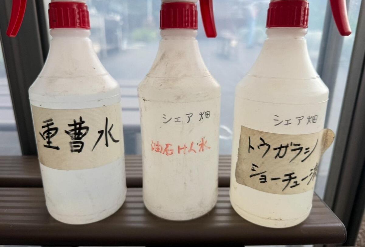 モカ&リカの親子初めて農活日記:第6回 害虫と病気のケア