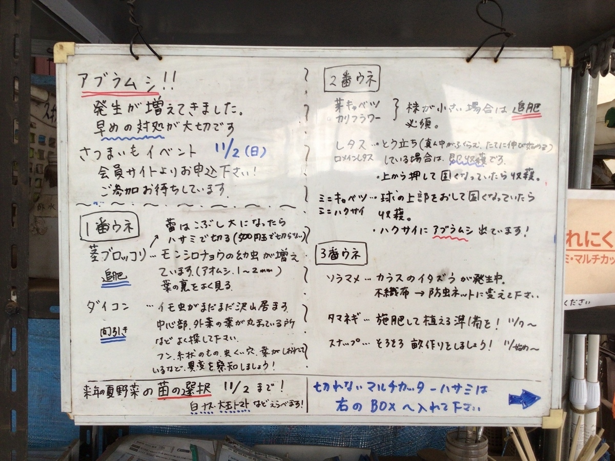 【10月24日】掲示板の更新です♪