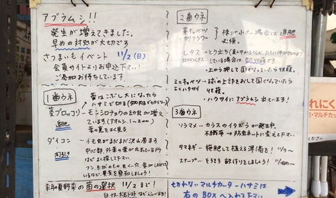 【10月24日】掲示板の更新です♪