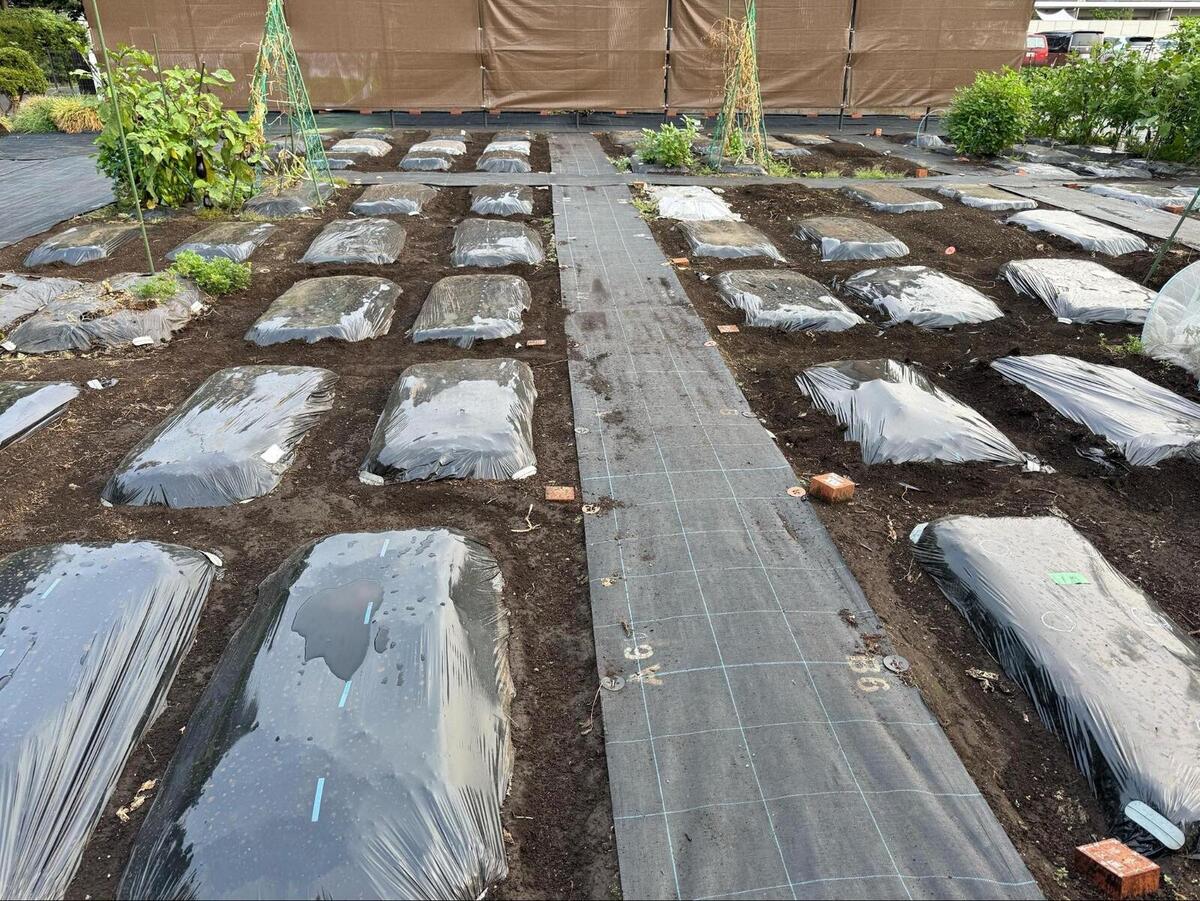 モカ&リカの親子初めて農活日記:第10回 秋冬野菜のウネを立てる