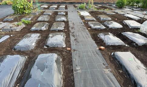 モカ&リカの親子初めて農活日記:第10回 秋冬野菜のウネを立てる