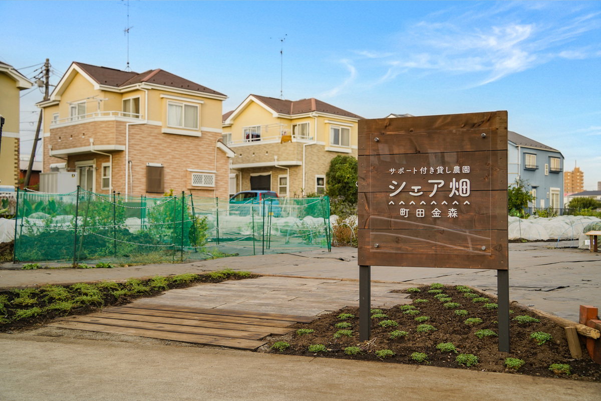 シェア畑 町田金森