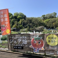 シェア畑 横浜鶴見