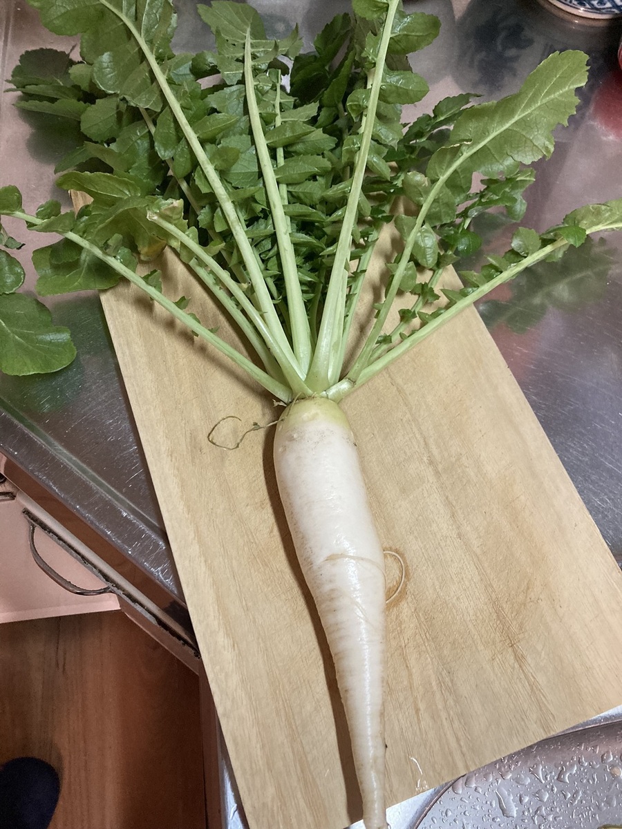ひょろひょろ大根