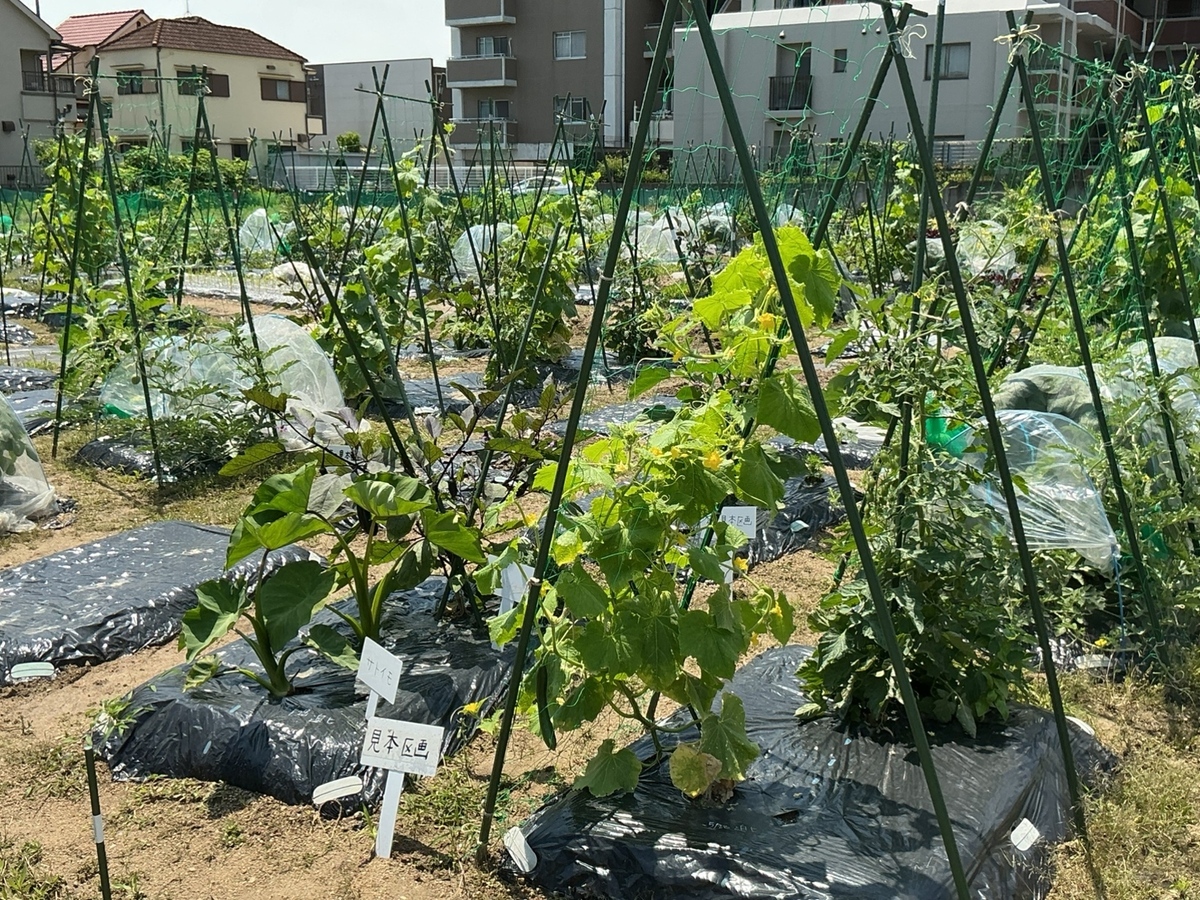 見本区画もありわかりやすい