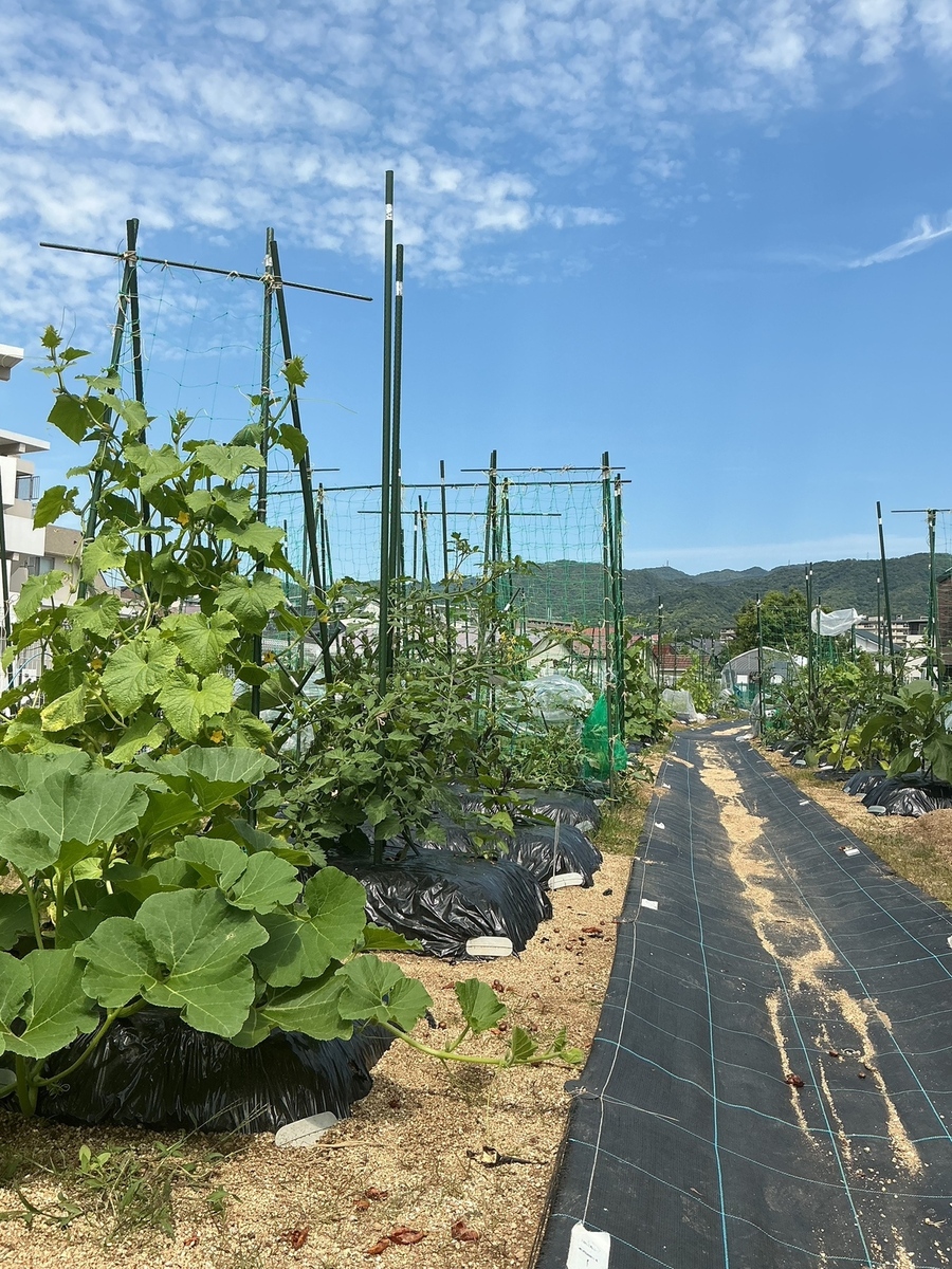 シェア畑 夙川グリーンプレイス前