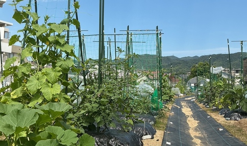 シェア畑 夙川グリーンプレイス前