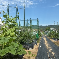 シェア畑 夙川グリーンプレイス前