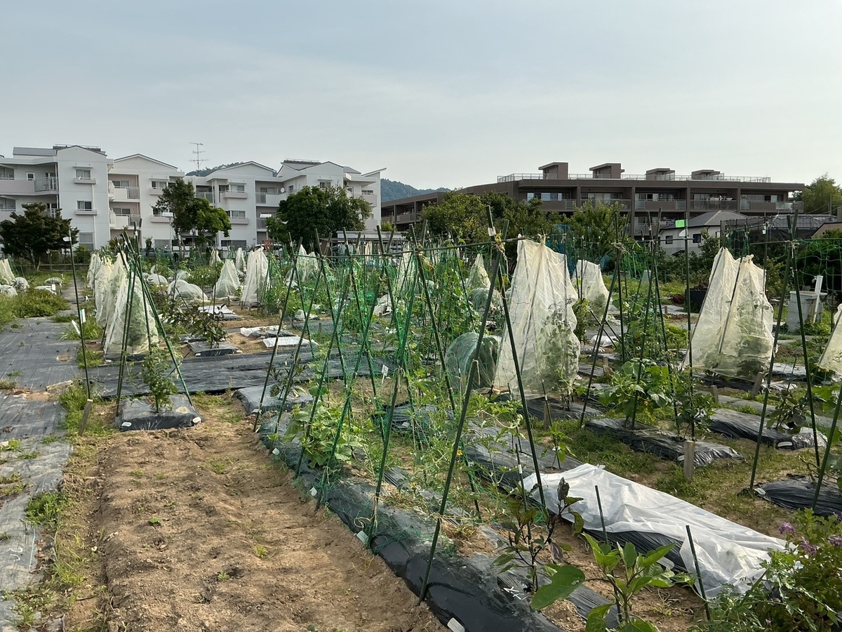シェア畑 箕面桜ヶ丘