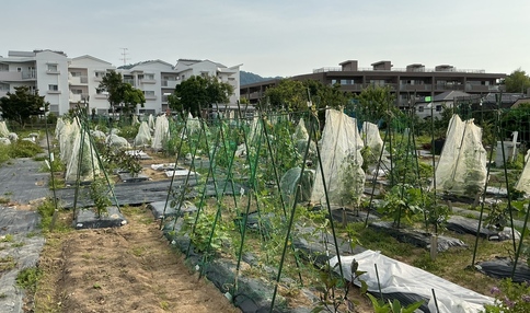 シェア畑 箕面桜ヶ丘