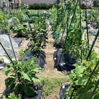 シェア畑 甲東園