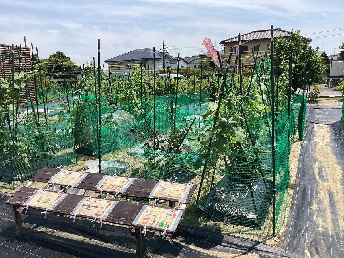 見本区画もありわかりやすい