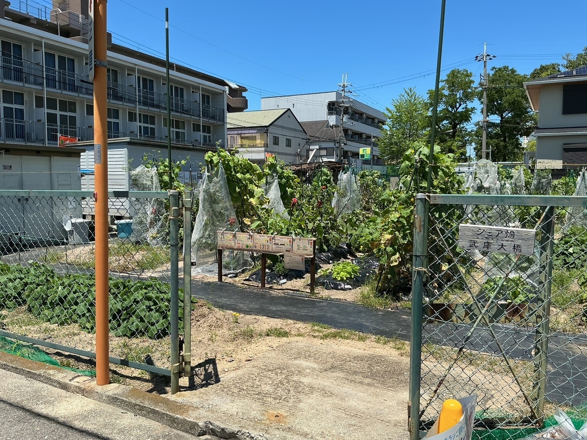 一緒に野菜作りを楽しみましょう