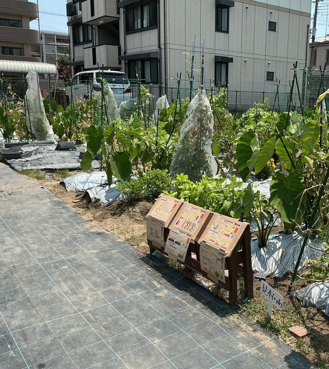 シェア畑 武庫川
