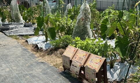 シェア畑 武庫川