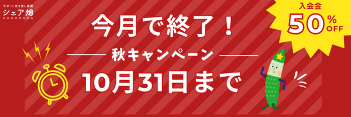 秋のオトクな入会半額キャンペーン実施中!
