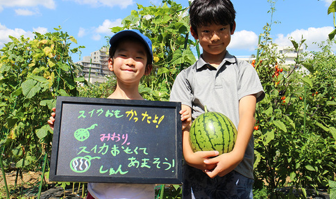 みんなの声:シェア畑を利用してよかったこと①