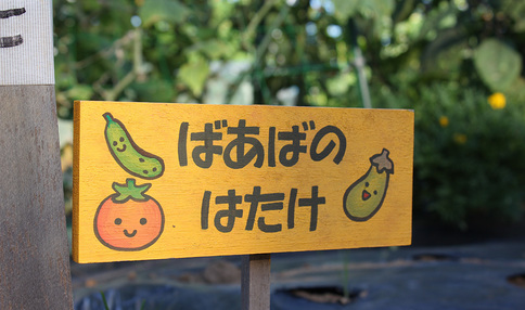 個性的な表札がいっぱいあります