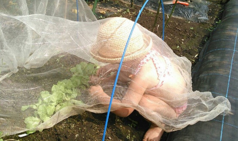 お子さんたちも自ら手伝ってくれています