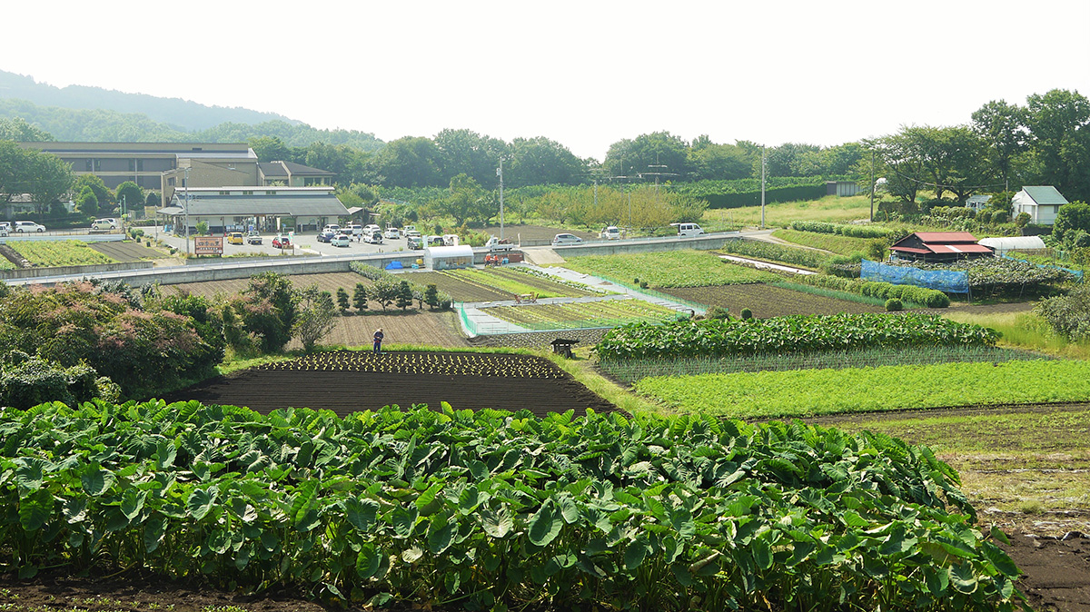 里山シェア大井松田